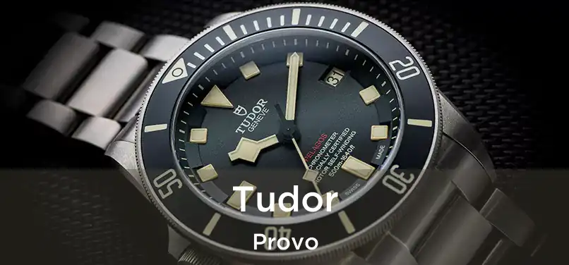 Tudor Provo